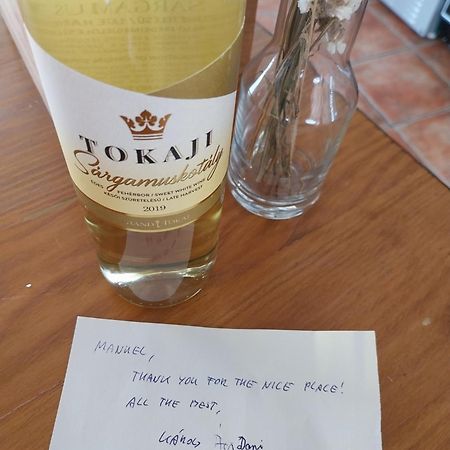Apartment Agroturizam Radesic Buje Zewnętrze zdjęcie