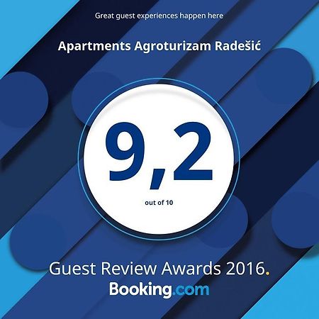 Apartment Agroturizam Radesic Buje Zewnętrze zdjęcie