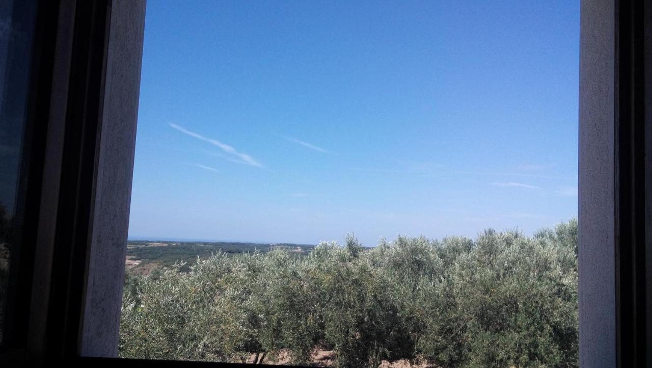Apartment Agroturizam Radesic Buje Zewnętrze zdjęcie
