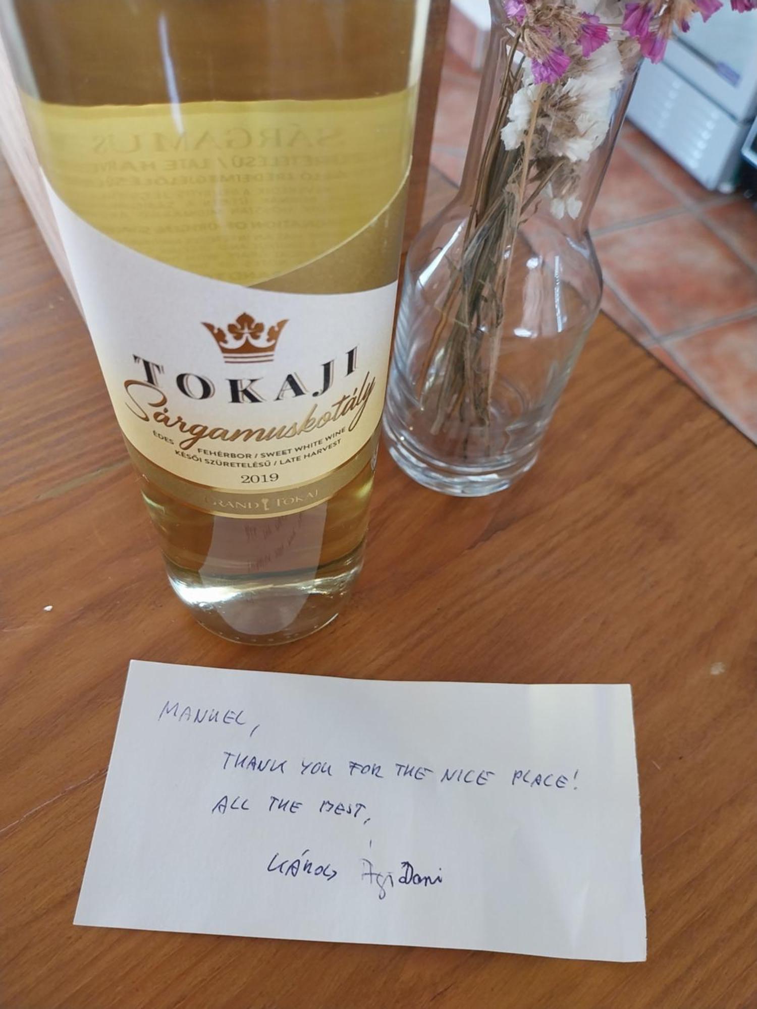 Apartment Agroturizam Radesic Buje Zewnętrze zdjęcie