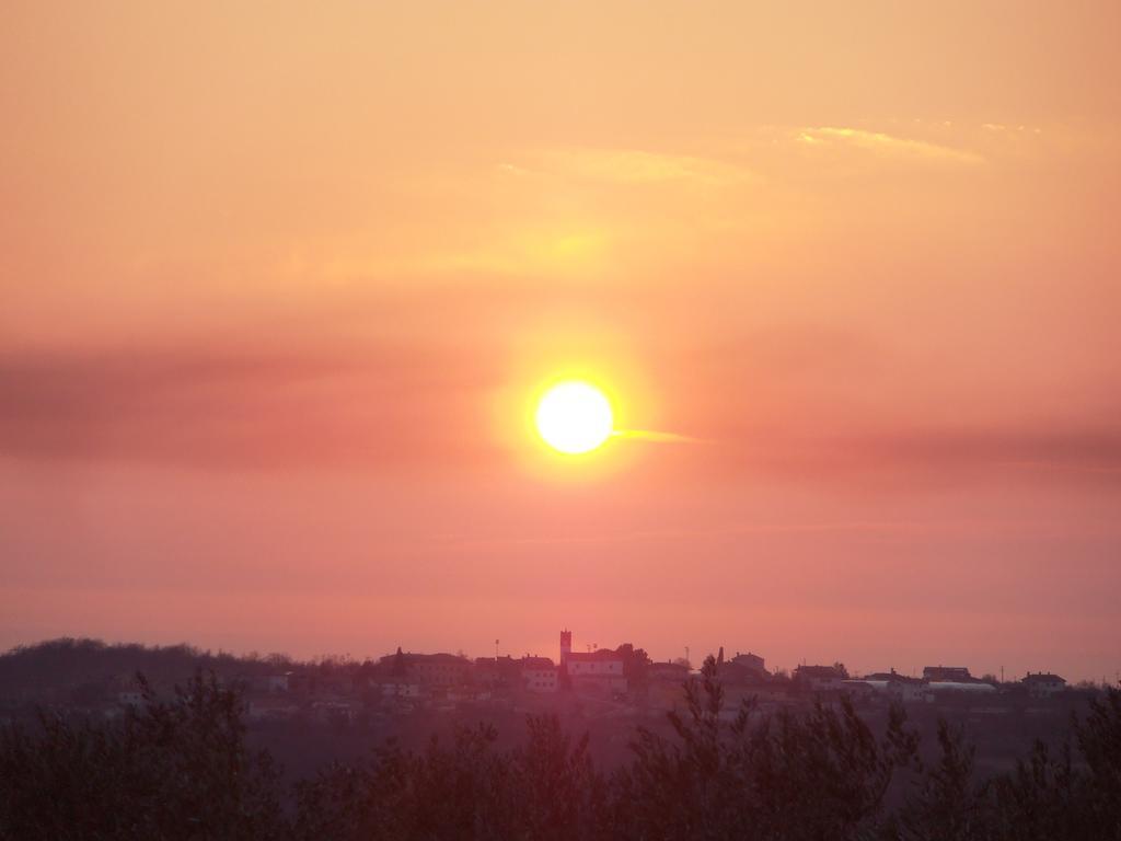 Apartment Agroturizam Radesic Buje Zewnętrze zdjęcie