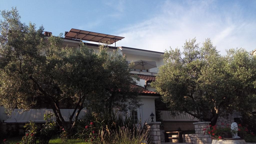 Apartment Agroturizam Radesic Buje Zewnętrze zdjęcie