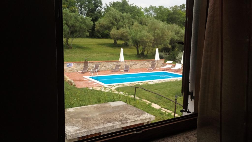 Apartment Agroturizam Radesic Buje Zewnętrze zdjęcie