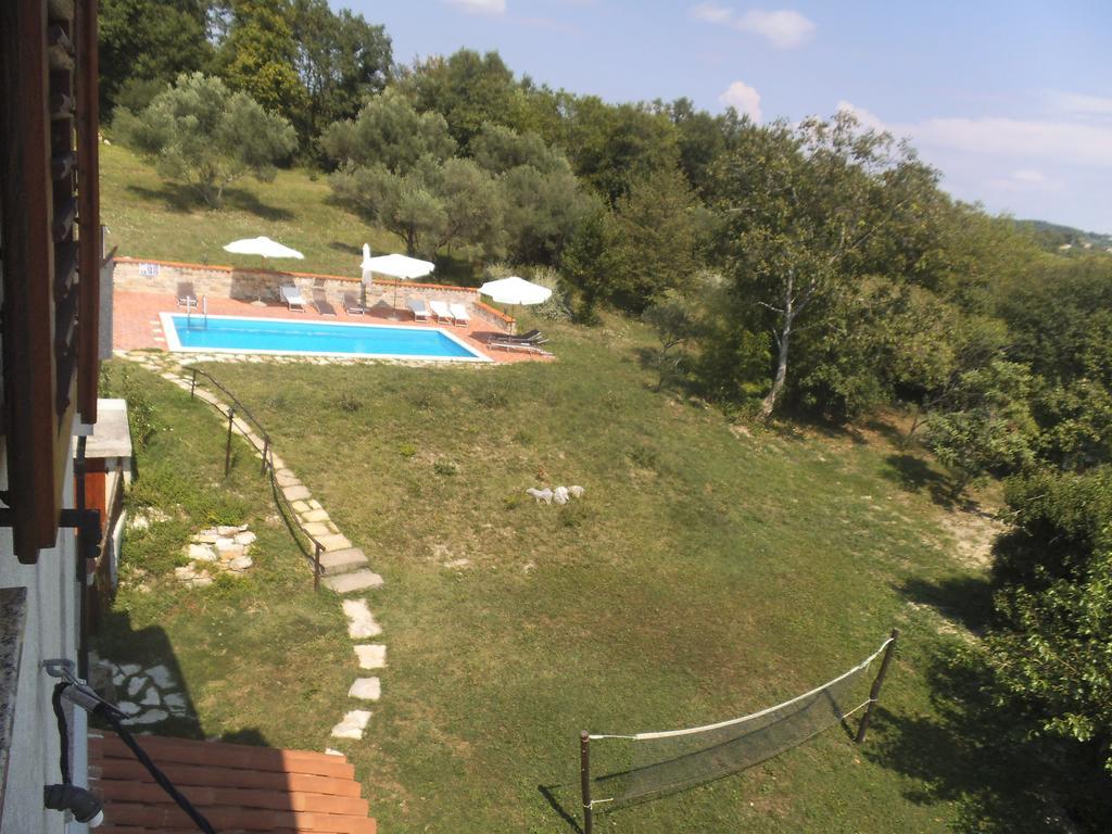 Apartment Agroturizam Radesic Buje Zewnętrze zdjęcie